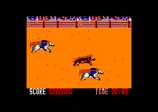 Buffalo Bills Wild West Show for the Amstrad CPC