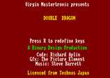 Double Dragon by Virgin Games