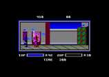 Ninja Warriors : The for the Amstrad CPC