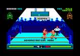 Professional Boxing Simulator for the Amstrad CPC