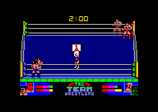 Tag Team Wrestling for the Amstrad CPC