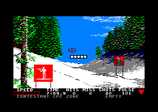 Winter Games for the Amstrad CPC